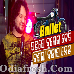 Bullet ପଛରେ ବୁଲେଇ ନେବି ଦଶରା ବଜାର ମେଢ (Humane Sagar)